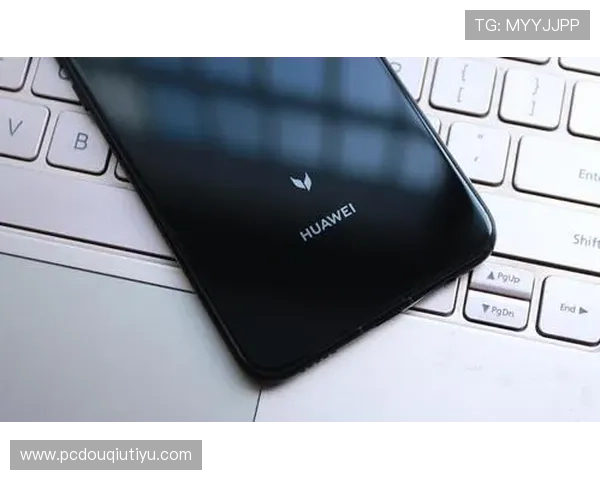 斗球体育app手机版下载指南，详细步骤帮助新手用户快速上手使用体验